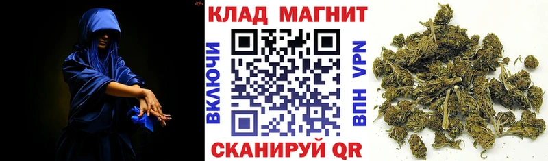 Виды наркоты Салехард Псилоцибиновые грибы  Гашиш  Бошки Шишки  Вейп ТГК  A PVP 