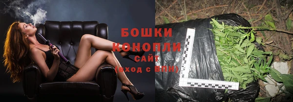 гашик Медвежьегорск