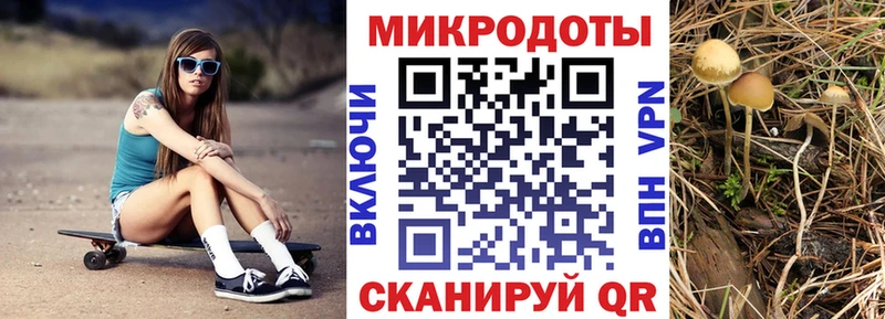 магазин продажи наркотиков  Салехард  Псилоцибиновые грибы ЛСД 